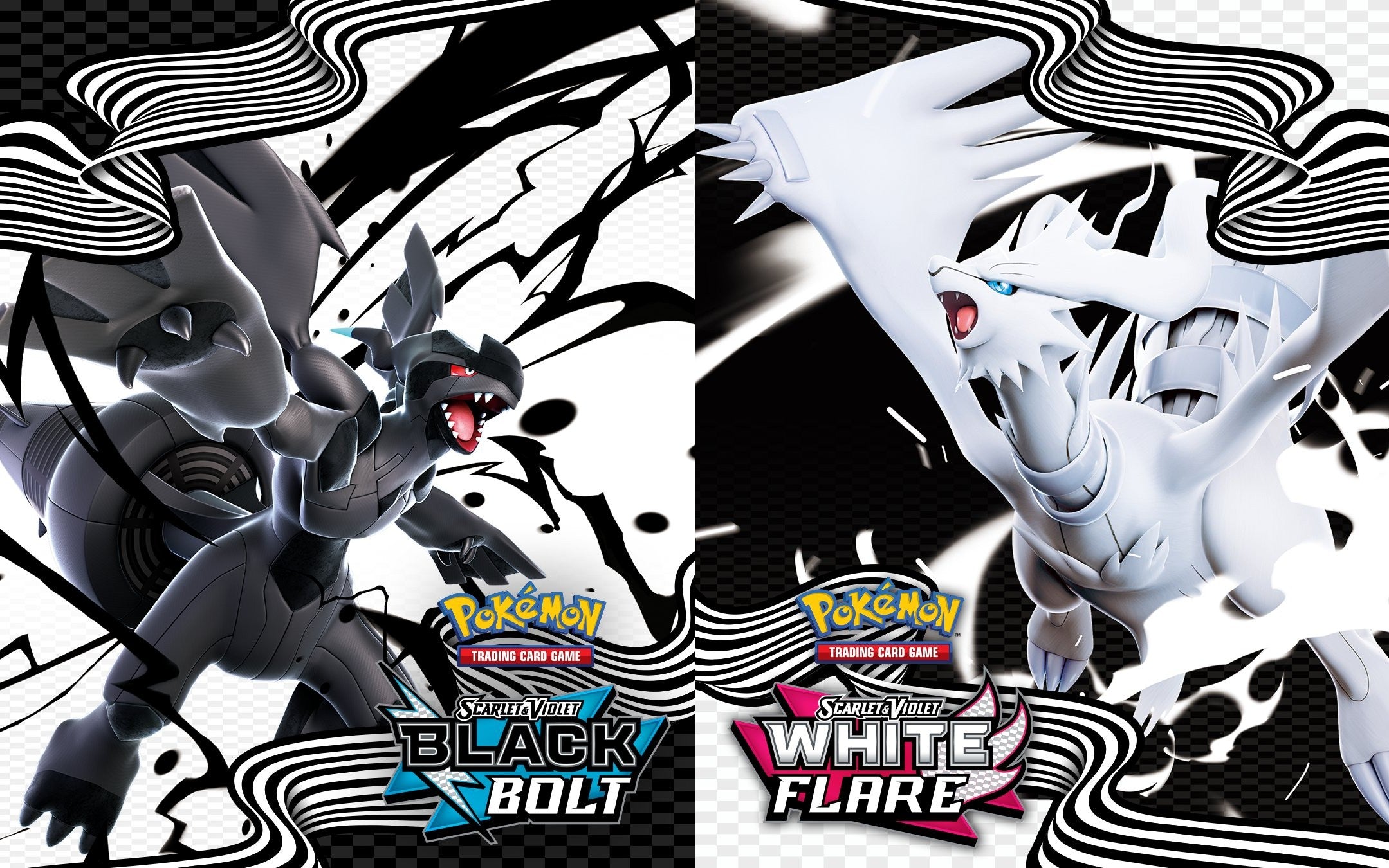 Admira Toda la Línea de Productos de Pokémon TCG Black Bolt & White Flare