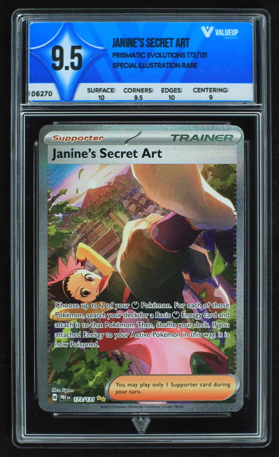 Janine's Secret Art (ValueUp) #06270 (Subasta)