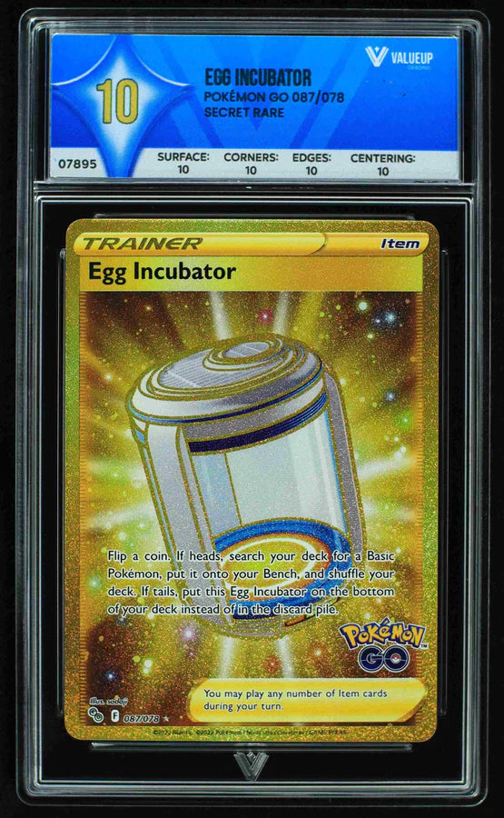 Egg Incubator (ValueUp) #07895 (Subasta)