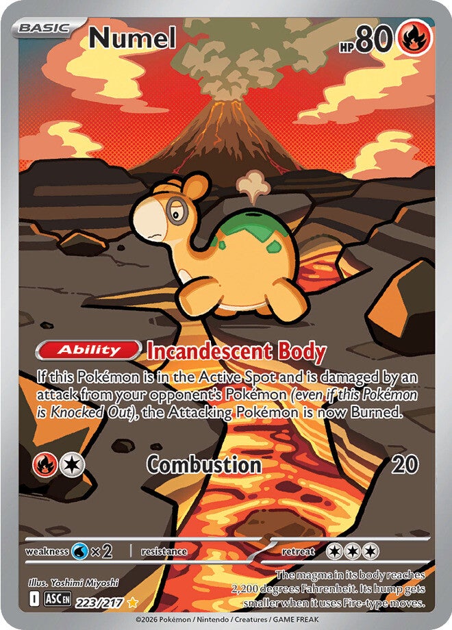Numel 223/217 - Illustration Rare