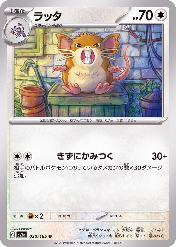 Raticate 020/165 - Japonés-Kantocards