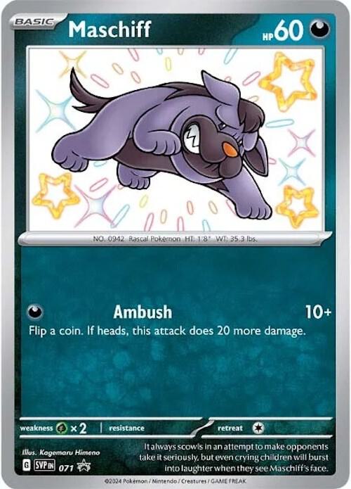 Maschiff SVP 071-Kantocards