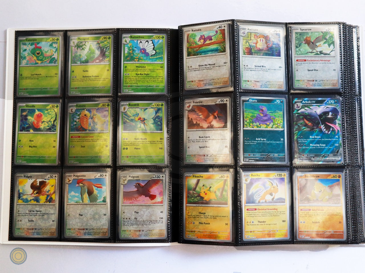Semi-Master Set: Comunes, Incomunes, Holo + EX Double Rare (165 Cartas, No reverse)-Kantocards