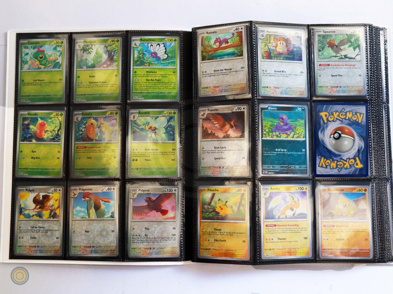 Semi-Master Set: Comunes, Incomunes y Holo (161 Cartas, No reverse)-Kantocards