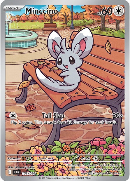 Minccino 152/086 - Illustration Rare-Kantocards