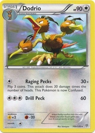 Dodrio 100/135-Kantocards