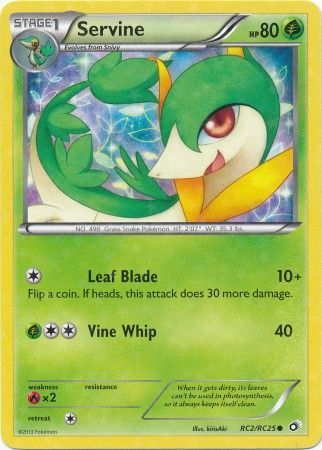 Servine RC2/RC25-Kantocards