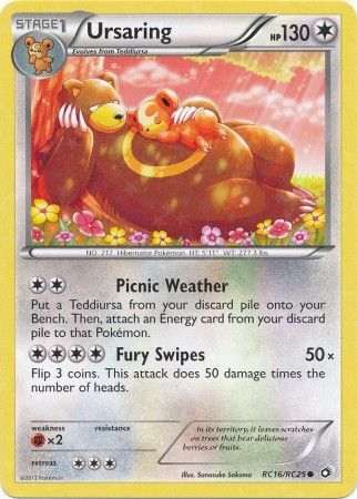 Ursaring RC16/RC25-Kantocards
