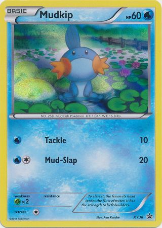 Mudkip XY38-Kantocards