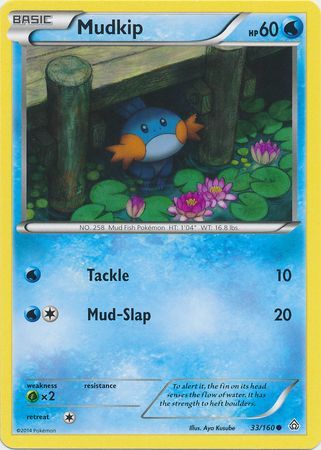 Mudkip 33/160-Kantocards