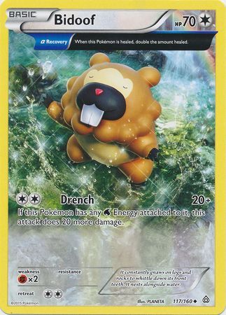 Bidoof 117/160-Kantocards