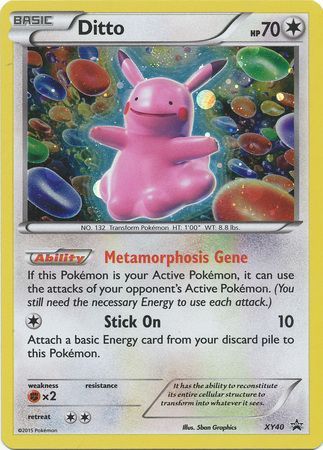 Ditto XY40-Kantocards