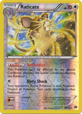 Raticate 88/122 - Reverse Holo-Kantocards