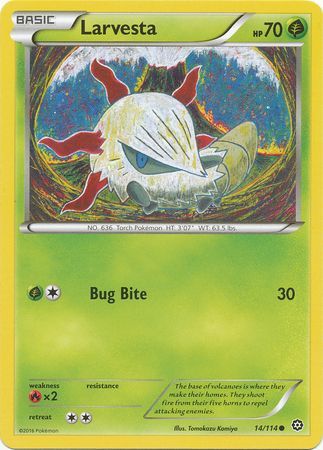 Larvesta 14/114-Kantocards