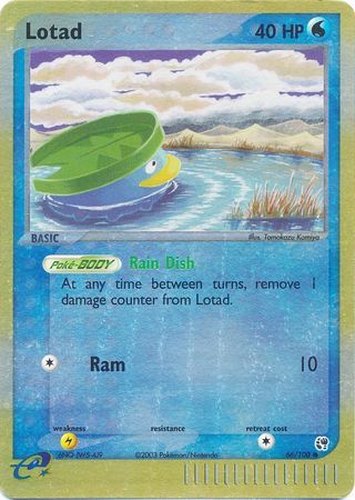 Lotad 66/100 - Holo Reverse-Kantocards
