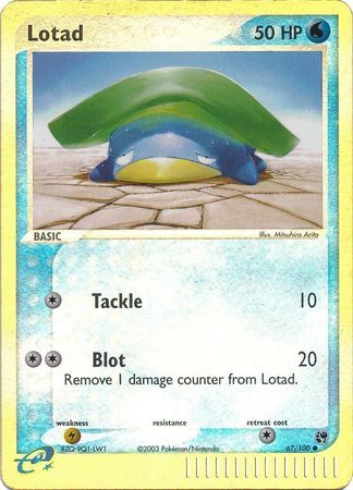 Lotad 67/100 - Holo Reverse-Kantocards