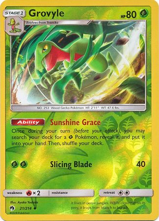 Grovyle 21/214 - Reverse Holo-Kantocards