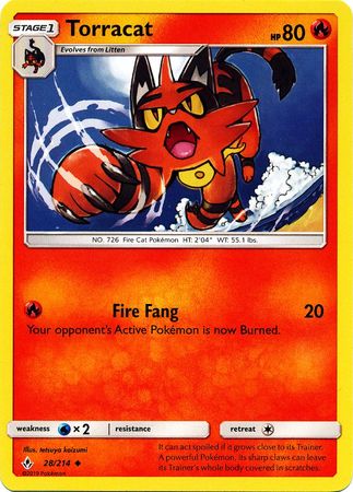 Torracat 28/214-Kantocards