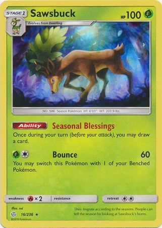 Sawsbuck 16/236 - Holo-Kantocards