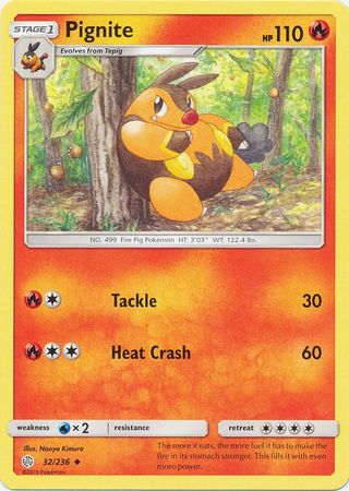 Pignite 32/236-Kantocards