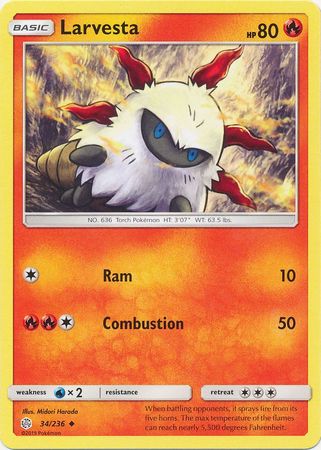 Larvesta 34/236-Kantocards