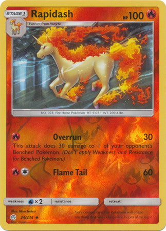 Rapidash 24/236 - Holo Reverse-Kantocards