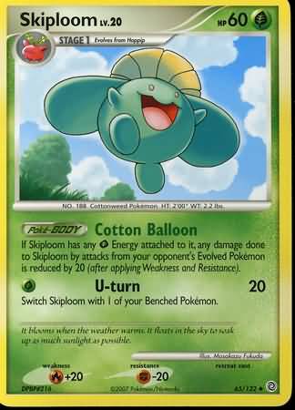 Skiploom 65/132-Kantocards