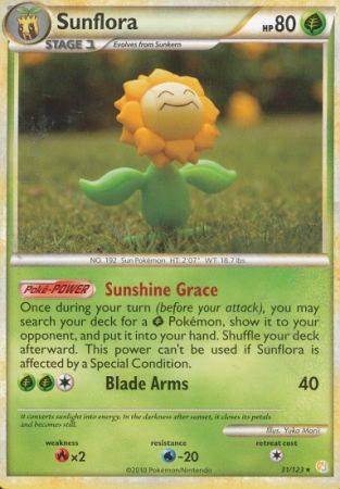 Sunflora 31/123-Kantocards