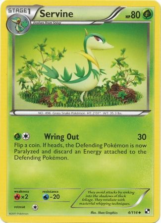 Servine 4/114-Kantocards