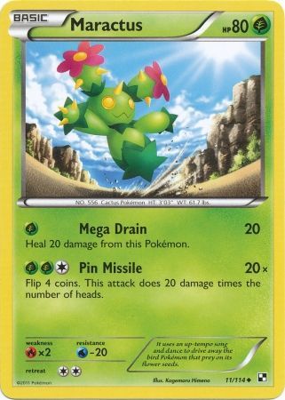 Maractus 11/114-Kantocards