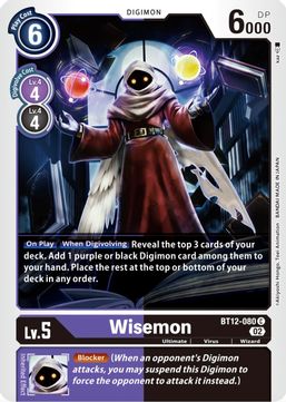Wisemon BT12-080 C-Kantocards