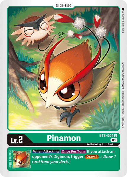 Pinamon BT6-004-Kantocards