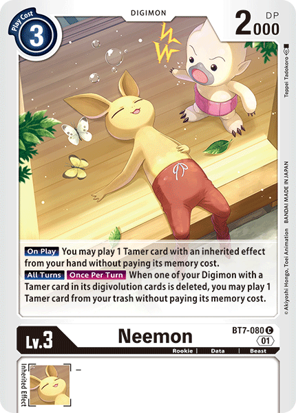 Neemon BT7-080-Kantocards