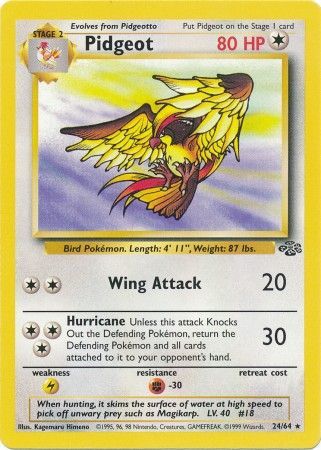 Pidgeot 24/64-Kantocards