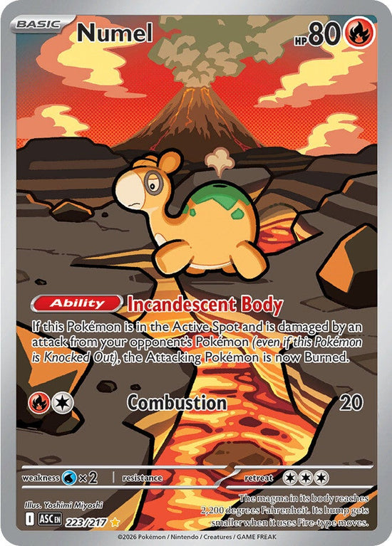 Numel 223/217 - Illustration Rare (Español)