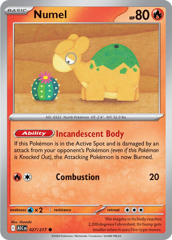 Numel 027/217 - Common