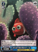 Nemo Dpx/S104-094-Kantocards