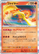 Moltres 146/165 - Holo - Japonés-Kantocards