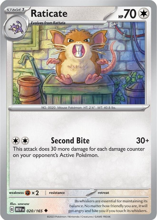 Raticate  020/165 - Uncommon - Reverse Holo - Español
