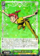 Peter Pan Dds/S104-030-Kantocards