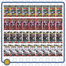 Booster Box MIXTA = 9 Boosters Destined Rivals + 9 Boosters Mega Evolution + 9 Boosters Black Bolt + 9 Booster White Flare (Equivalente a 1 Booster Box)