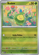 Budew 016/217 - Common - Reverse Holo