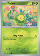 Budew 016/217 - Common - Friend Ball