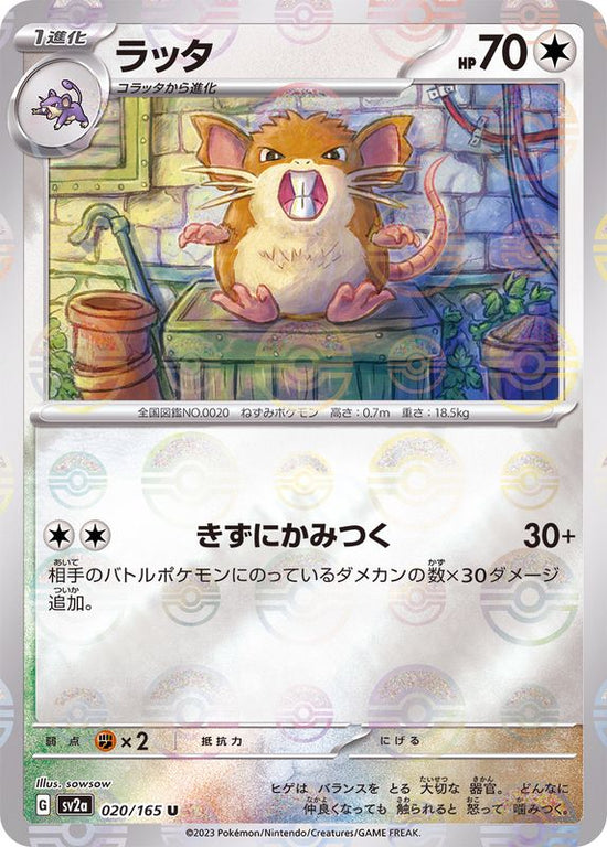 Raticate 020/165 - Reverse Holo - Japonés