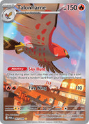 Talonflame 091/088 - Illustration Rare