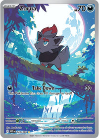Zorua 142/086 - Illustration Rare-Kantocards