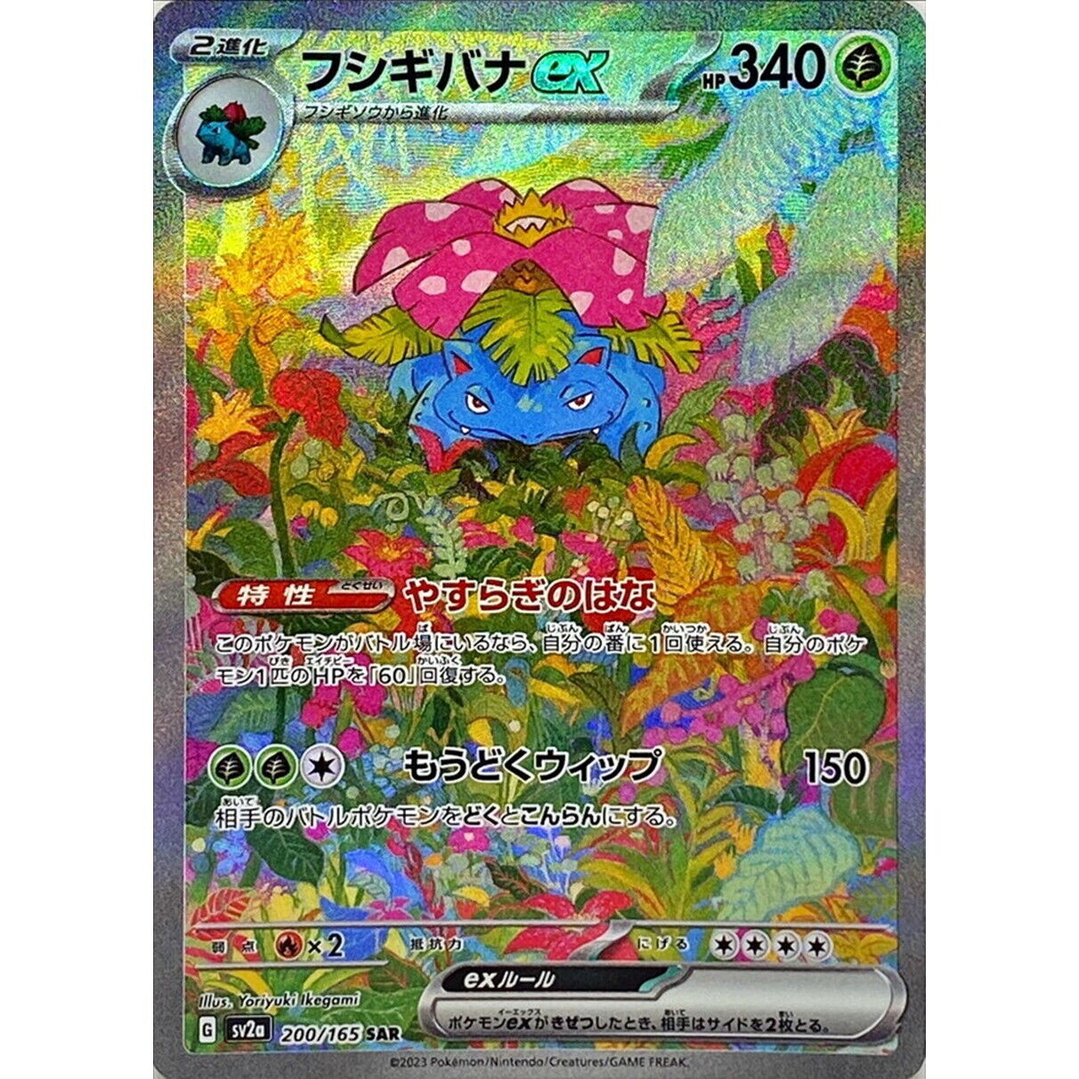 Venusaur EX 200/165 - JAPONÉS -Kantocards