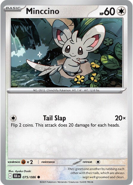 Minccino 075/086 - Common
