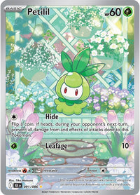 Petilil 091/086 - Illustration Rare-Kantocards