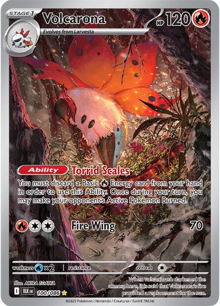 Volcarona 100/086 - Illustration Rare